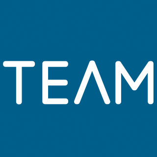 TEAM  logo